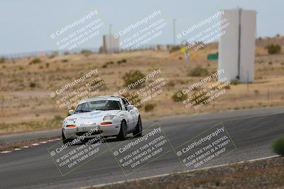 media/May-03-2025-Lucky Dog Racing (Sat) [[206de64b9d]]/Turn 6 (150pm-230pm)/